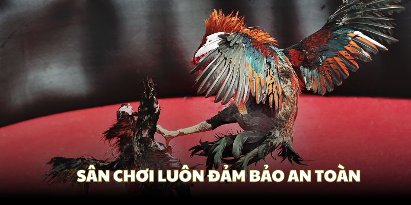 Bảo mật tuyệt đối, tạo an tâm cho hội viên Bảo mật tuyệt đối, tạo an tâm cho hội viên