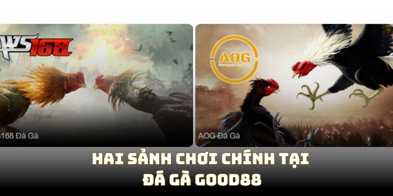 Hai sảnh chơi chính trong cách tham gia đá gà Good88 Hai sảnh chơi chính trong cách tham gia đá gà Good88