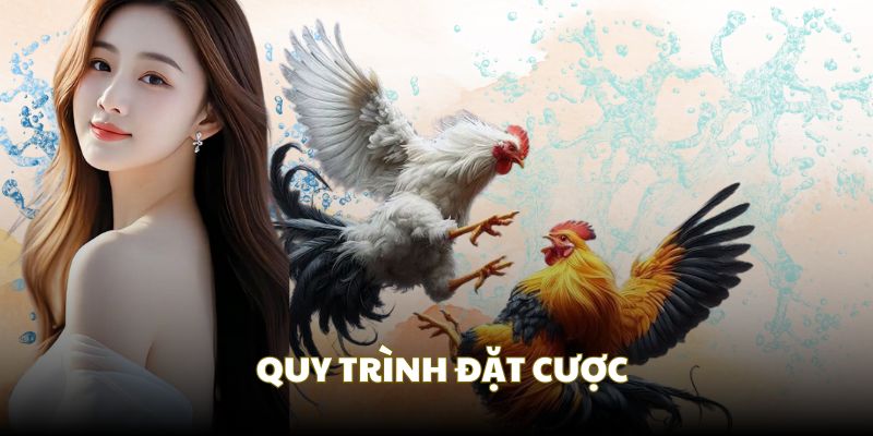 Quy trình cá cược tại sân cược online Quy trình cá cược tại sân cược online