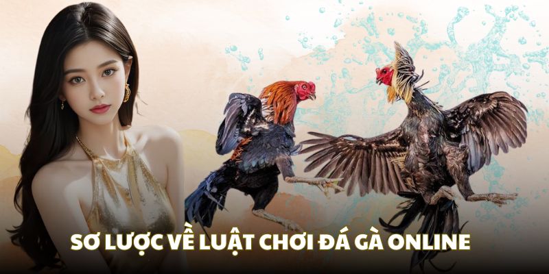 Giải mã chung về luật chơi đá gà online tại nhà cái Giải mã chung về luật chơi đá gà online tại nhà cái