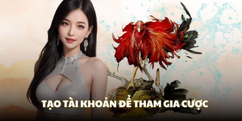Bạn cần tạo tài khoản khi tham gia chơi đá gà online Bạn cần tạo tài khoản khi tham gia chơi đá gà online